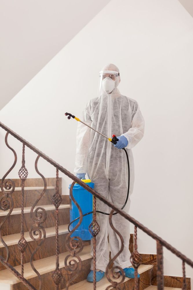 Umfassende Schimmelsanierung für Wuppertaler Immobilien